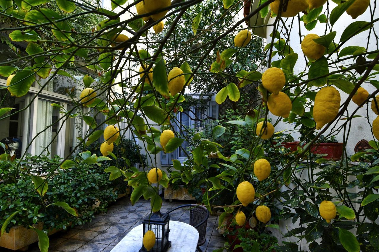 Athens Authentic Elegance At Acropolis Apartment Exterior foto